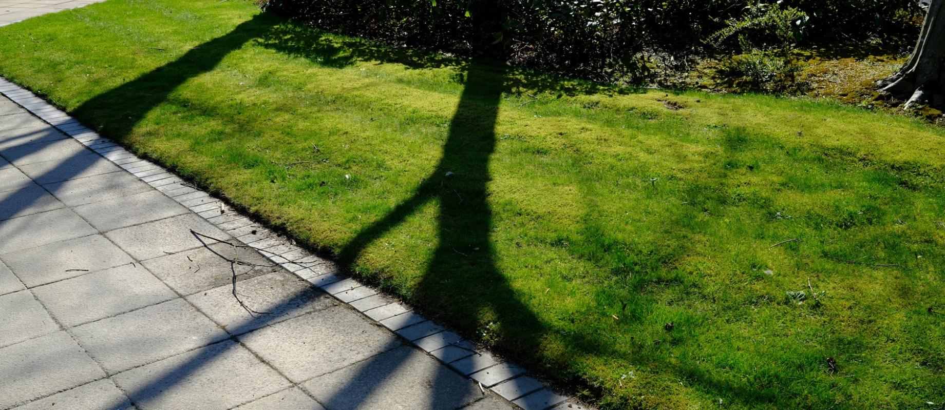 Paved areas