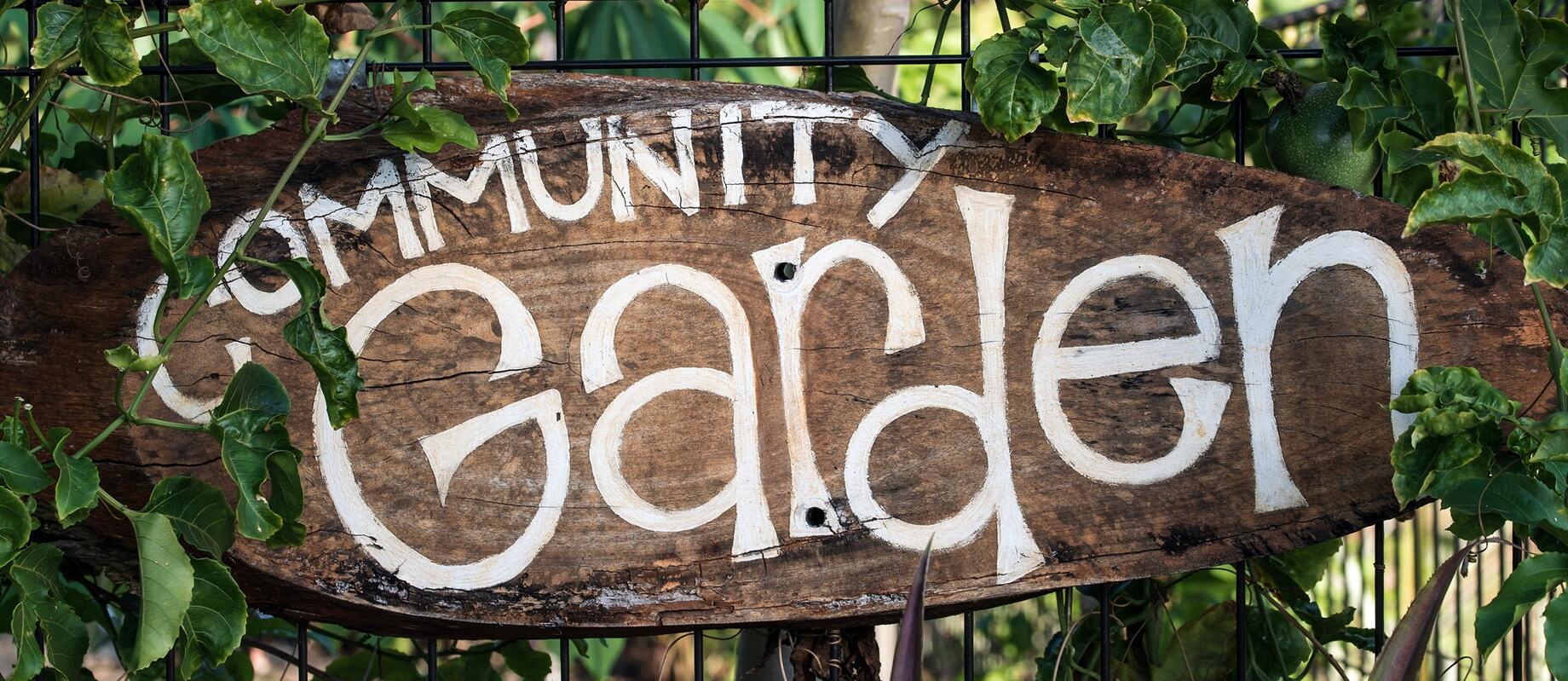 Community Garden